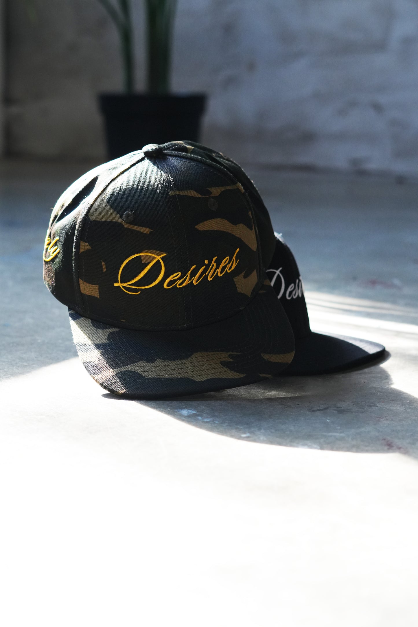 “Desires” basic cap